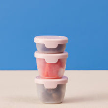 Load image into Gallery viewer, snack tubs - berry