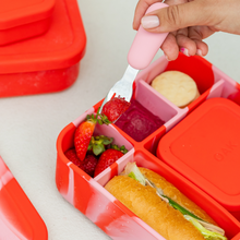Load image into Gallery viewer, Rose Jam BIG Bento Lunchbox