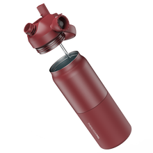 Load image into Gallery viewer, Insulated Bottle 1L