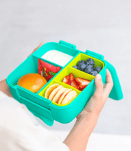 Load image into Gallery viewer, MontiiCo Bite Lunch Box - Mojito