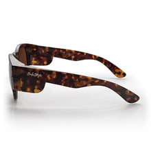 Load image into Gallery viewer, Cruisers Brown Polarised Sunglasses