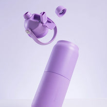 Load image into Gallery viewer, Insulated Bottle 1L