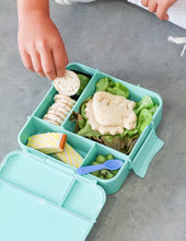 Load image into Gallery viewer, MontiiCo Bento Plus Lunch Box