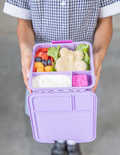 Load image into Gallery viewer, MontiiCo Bento Three Lunch Box - Dusk