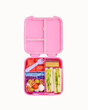 Load image into Gallery viewer, MontiiCo Bite Lunch Box - Floss