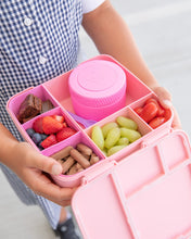Load image into Gallery viewer, MontiiCo Feast Bento Lunch Box