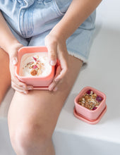 Load image into Gallery viewer, Nesting Tubs Set