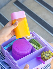 Load image into Gallery viewer, MontiiCo Bento Bottle - Floss