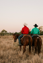 Load image into Gallery viewer, Pilbara Mens Closed Front Work Shirt RM200CF