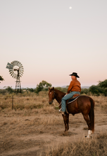 Load image into Gallery viewer, Pilbara Mens Closed Front Work Shirt RM200CF