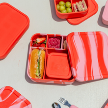 Load image into Gallery viewer, Rose Jam BIG Bento Lunchbox
