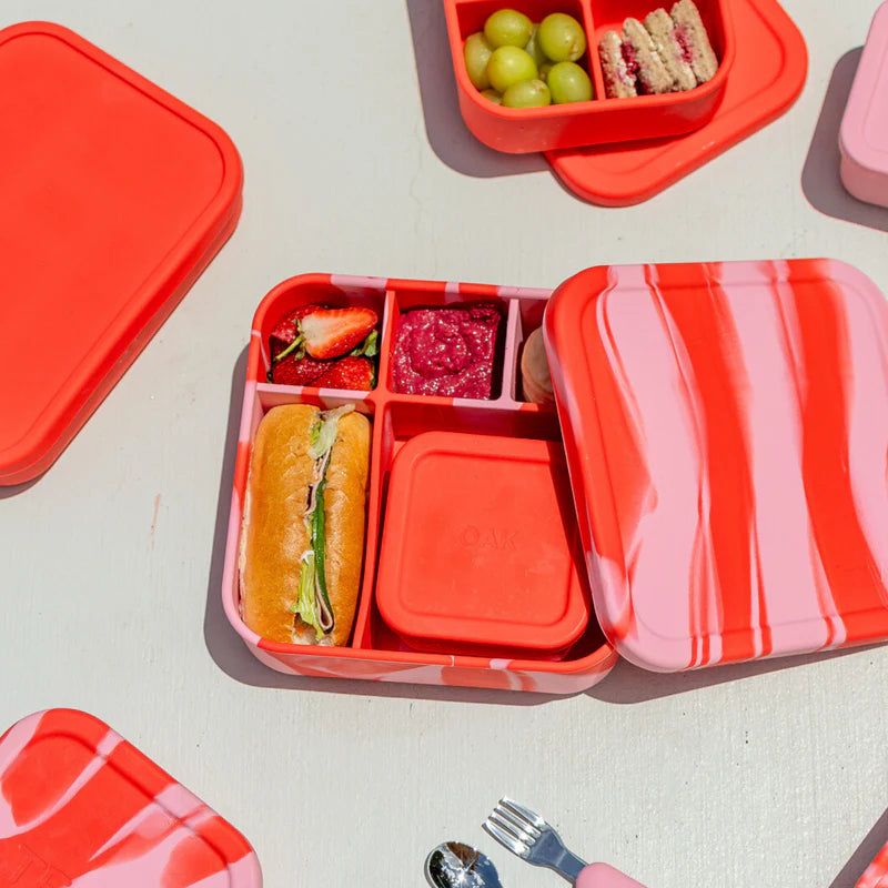 BIG Bento Lunchbox