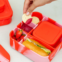 Load image into Gallery viewer, Rose Jam BIG Bento Lunchbox
