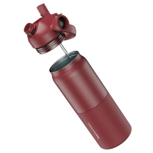 Load image into Gallery viewer, Insulated Bottle 1L - Plum
