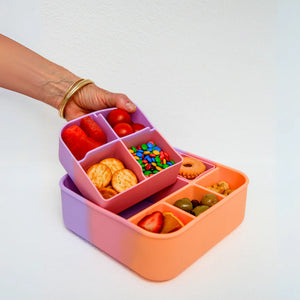 Paddle Pop Big Bento Dividers
