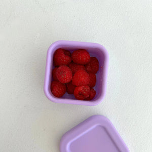 Mini Container