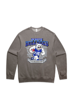 Load image into Gallery viewer, NFC Adult Graphic Relax Faded Crewneck
