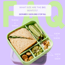 Load image into Gallery viewer, Fairy Floss BIG Bento Lunchbox
