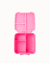 Load image into Gallery viewer, MontiiCo Bite Lunch Box - Floss
