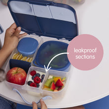 Load image into Gallery viewer, lunchbox - sugar plum
