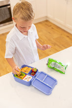 Load image into Gallery viewer, MontiiCo Bite Lunch Box - Splash
