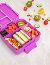 Load image into Gallery viewer, MontiiCo Feast Lunch Box - Fuchsia
