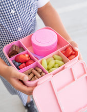 Load image into Gallery viewer, MontiiCo Feast Bento Lunch Box Dahlia
