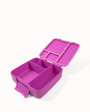 Load image into Gallery viewer, MontiiCo Feast Lunch Box - Fuchsia
