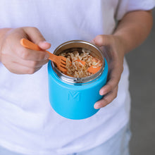 Load image into Gallery viewer, Insulated Food Jar Coastal
