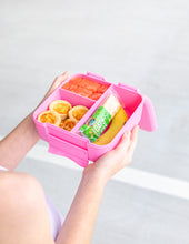 Load image into Gallery viewer, MontiiCo Bite Lunch Box - Floss

