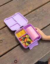 Load image into Gallery viewer, MontiiCo Bite Lunch Box - Lilac
