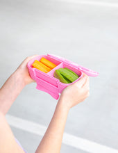 Load image into Gallery viewer, MontiiCo Snack Lunch Box - Floss
