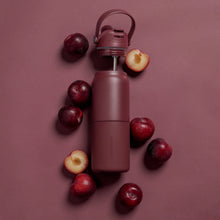 Load image into Gallery viewer, Insulated Bottle 1L
