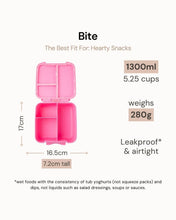 Load image into Gallery viewer, MontiiCo Bite Lunch Box - Splash
