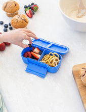 Load image into Gallery viewer, MontiiCo Snack Lunch Box - Blueberry
