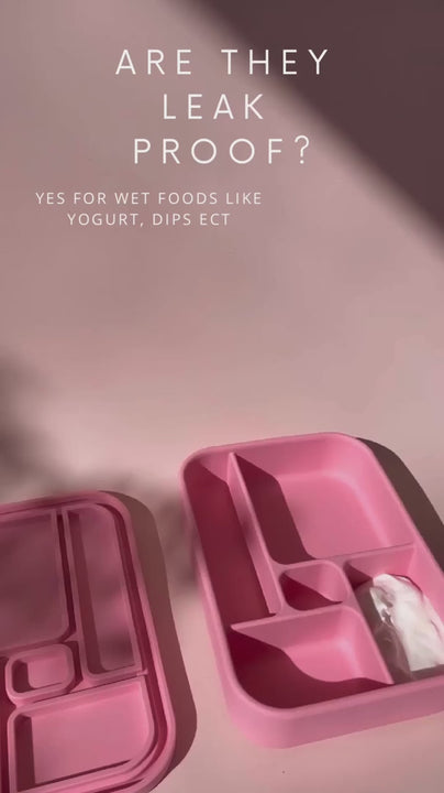 Watermelon Bento Lunchbox