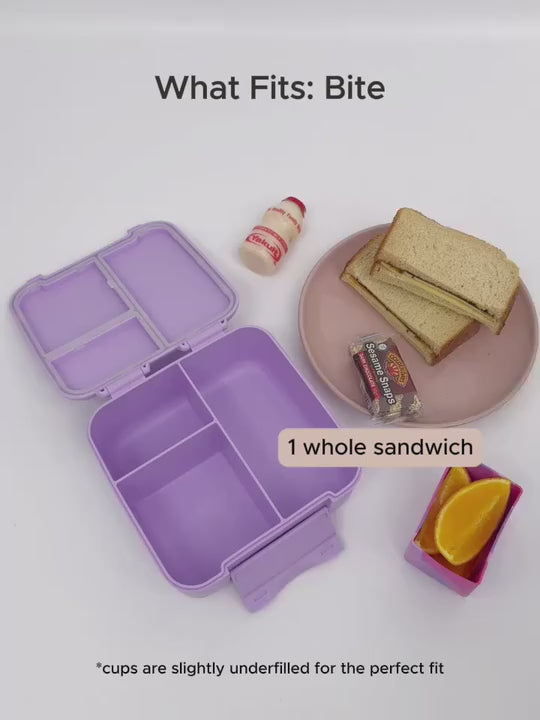 MontiiCo Bite Lunch Box - Splash